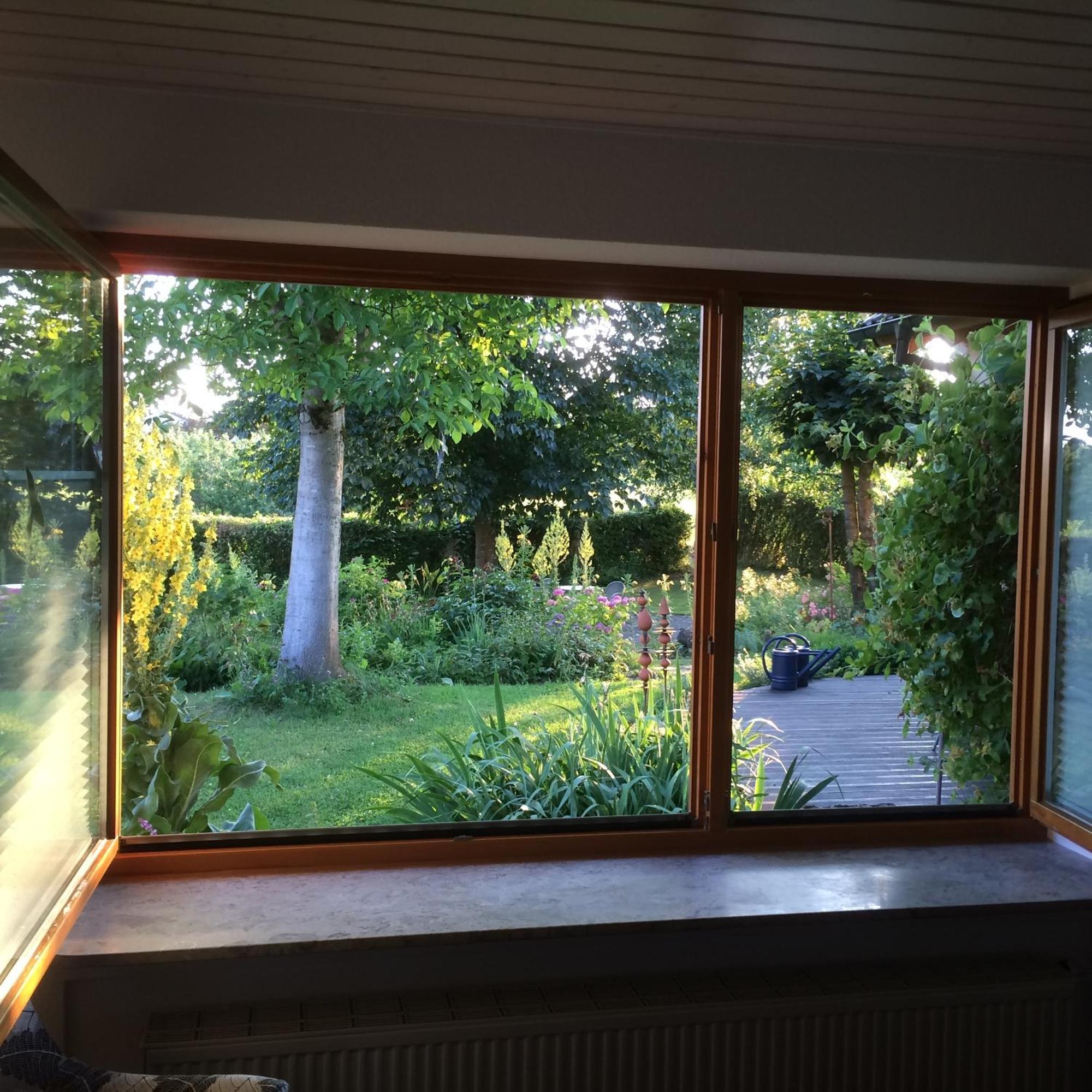 Ferienwohnung Bluetenweg Kluftern 프리드리히스하펜 외부 사진