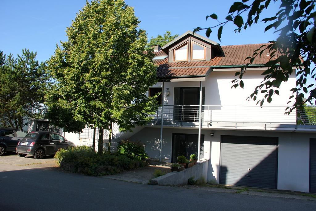 Ferienwohnung Bluetenweg Kluftern 프리드리히스하펜 외부 사진
