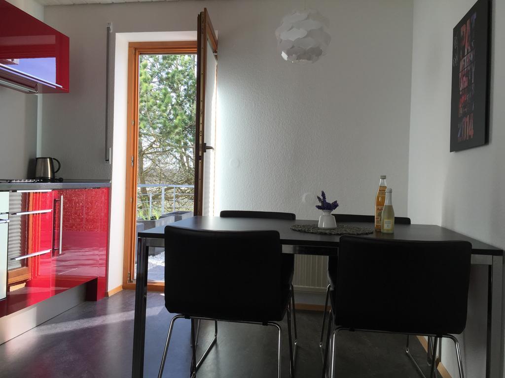 Ferienwohnung Bluetenweg Kluftern 프리드리히스하펜 객실 사진