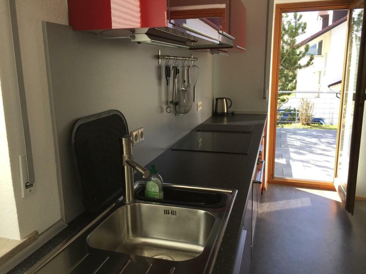 Ferienwohnung Bluetenweg Kluftern 프리드리히스하펜 객실 사진
